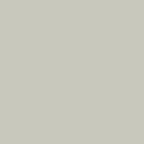 Clayfix Lehmfarbe, Lehmanstrich Farbe SC 3.1, Gebinde 10 kg  mit feiner Körnung  