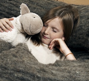 Schneidegerät für Isolena Schafwolldämmung